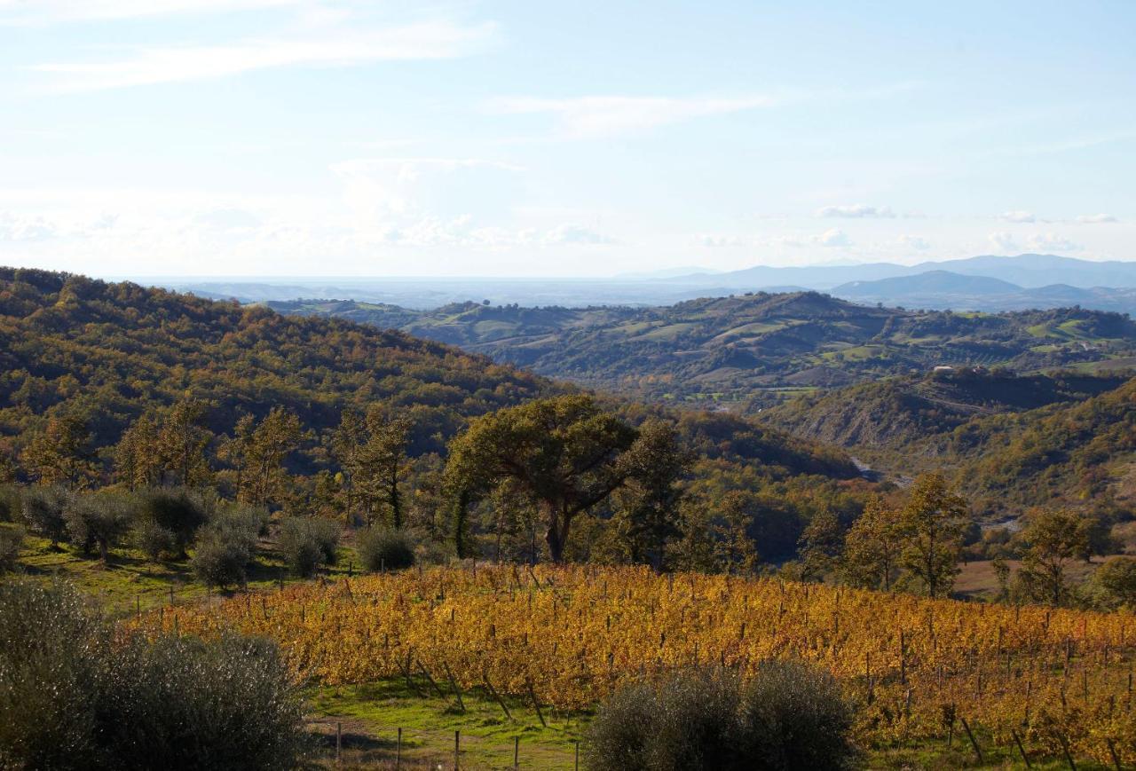 Alloggio per agriturismo Fattoria La Pieve Stribugliano
